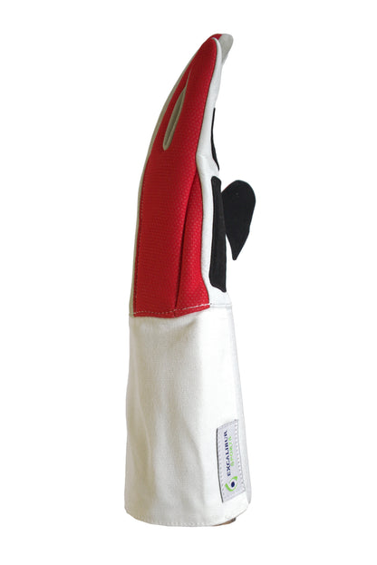 Advanced Glove
